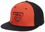 Panther Home Plate Hat - Pacific FlexFit - Limited Quantities