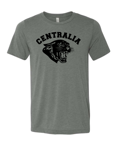 Bella Youth & Adult Tee - Deep Heather Gray