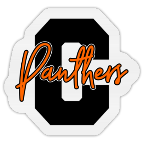 Panthers Temporary Tattoo STICKER-No Water Needed