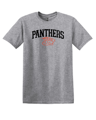 Gildan Softstyle Toddler, Youth & Adult Tee - Sport Grey