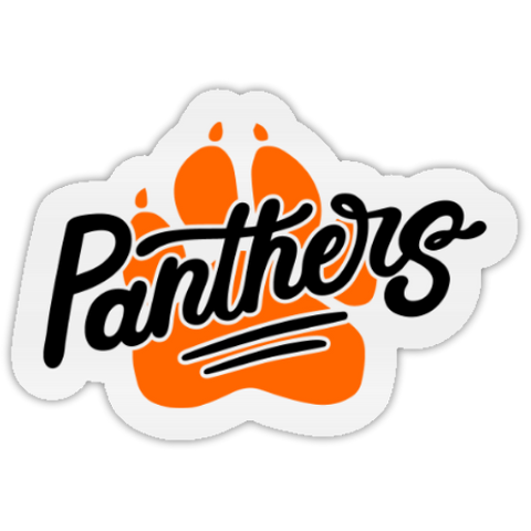 Panthers Temporary Tattoo STICKER-No Water Needed